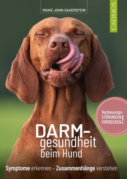 Produktbild: Darmgesundheit beim Hund