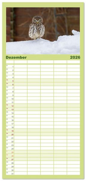 Produktbild: Familienplaner 2026 - Eulen - Fl&uuml;gel der Nacht mit 5 Spalten (Wandkalender, 21 x 45 cm) CALVENDO