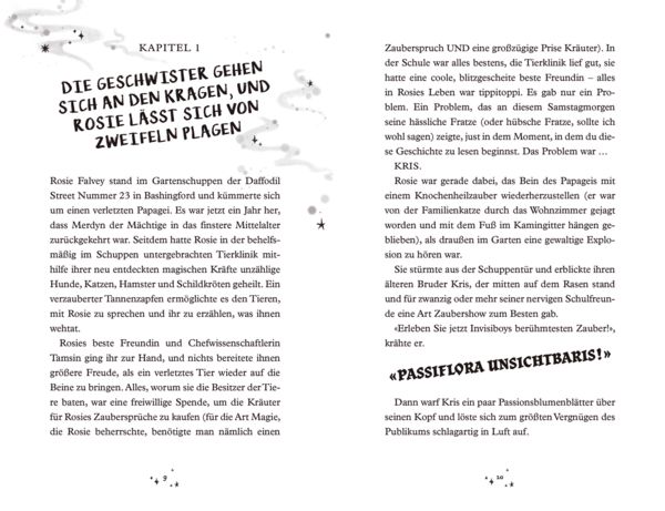 Produktbild: Merdyns magische Missgeschicke - Die Rache des Vandalen