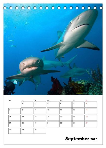 Produktbild: Zauberwelt. Fische, Korallen und Co. (Tischkalender 2026 DIN A5 hoch), CALVENDO Monatskalender