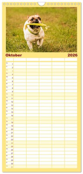 Produktbild: Familienplaner 2026 - Franz&ouml;sische Bulldoggen - Schutzengel auf 4 Pfoten mit 5 Spalten (Wandkalender, 21 x 45 cm) CALVENDO