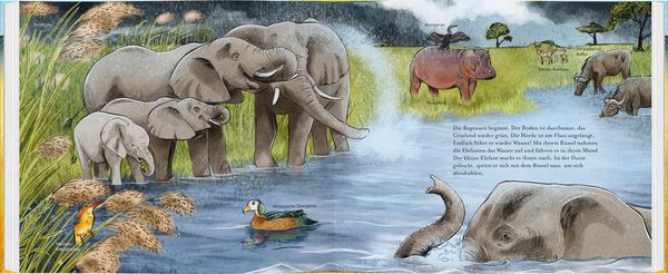 Produktbild: Der kleine Elefant