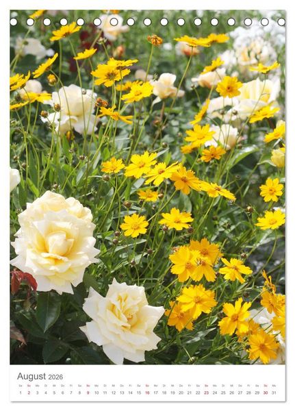 Produktbild: Gl&uuml;cklich mit Rosen (Tischkalender 2026 DIN A5 hoch), CALVENDO Monatskalender