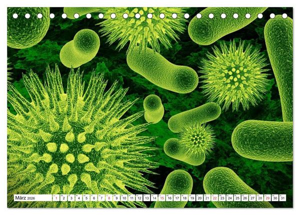 Produktbild: Mikrobiologie. Mikroorganismen, Genetik und Zellen (Tischkalender 2026 DIN A5 quer), CALVENDO Monatskalender