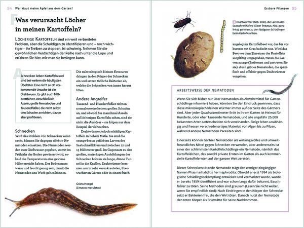 Produktbild: Wer klaut meine &Auml;pfel aus dem Garten