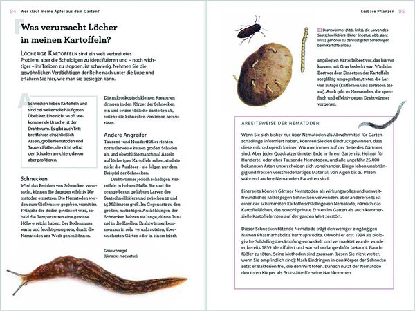 Produktbild: Wer klaut meine &Auml;pfel aus dem Garten