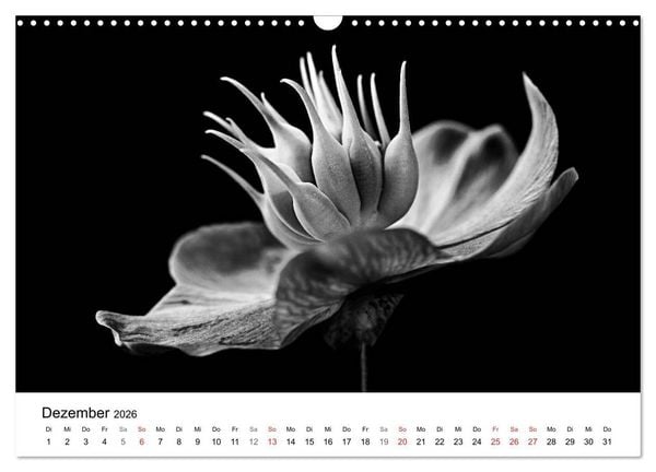 Produktbild: Blumen 2026, Schwarz-Wei&szlig; (Wandkalender 2026 DIN A3 quer), CALVENDO Monatskalender