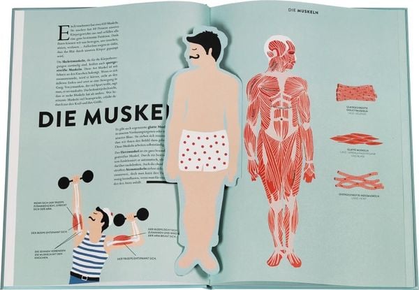 Produktbild: Anatomie