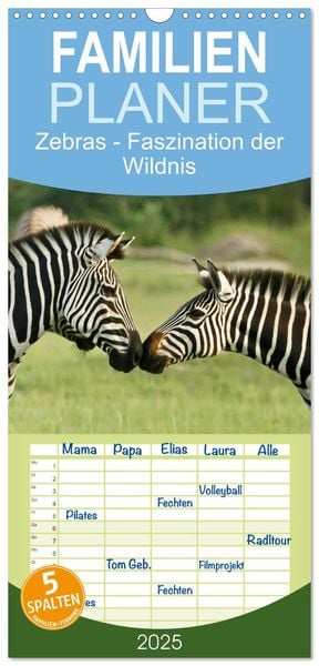 Familienplaner 2025 - Zebras - Faszination der Wildnis mit 5 Spalten (Wandkalender, 21 x 45 cm) CALVENDO