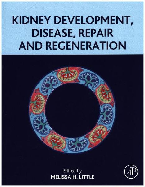 Produktbild: Kidney Development, Disease, Repair and Regeneration