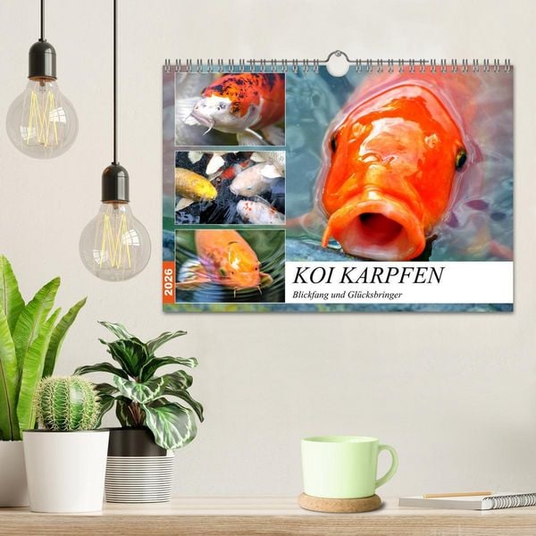 Produktbild: Koi Karpfen. Blickfang und Gl&uuml;cksbringer (Wandkalender 2026 DIN A4 quer), CALVENDO Monatskalender