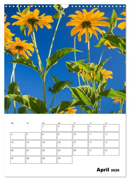 Produktbild: Farben der Natur (Wandkalender 2026 DIN A3 hoch), CALVENDO Monatskalender
