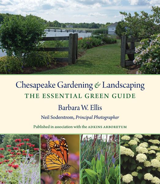 Produktbild: Chesapeake Gardening and Landscaping