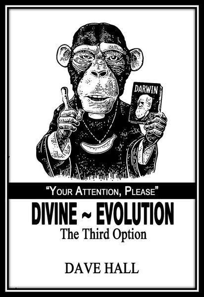Produktbild: Divine~Evolution