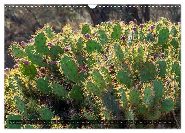 Produktbild: Grandioses Canaria (Wandkalender 2026 DIN A3 quer), CALVENDO Monatskalender