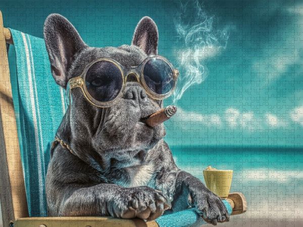 Produktbild: CALVENDO Puzzle Ein Motiv aus dem Kalender Strandgefl&uuml;ster | 1000 Teile Lege-Gr&ouml;&szlig;e 64x48cm Foto-Puzzle f&uuml;r gl&uuml;ckliche Stunden