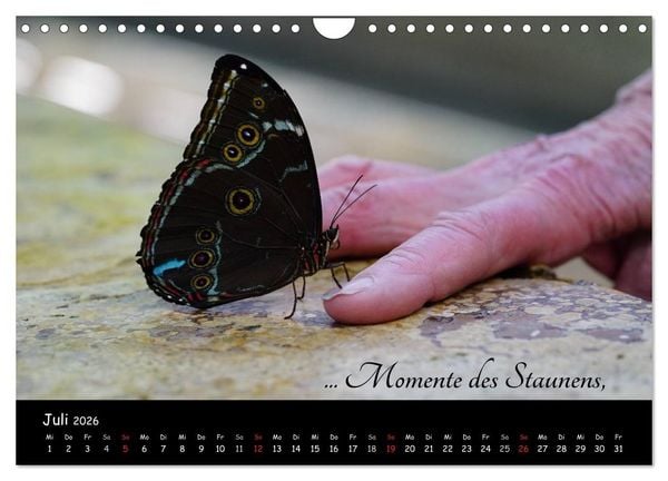 Produktbild: Gut gelaunt durch's Rentenjahr (Wandkalender 2026 DIN A4 quer), CALVENDO Monatskalender