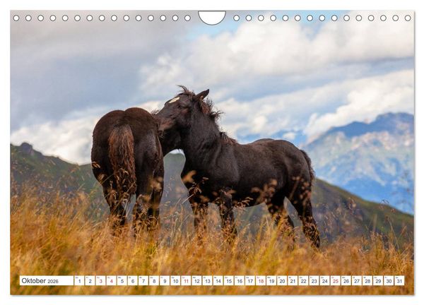 Produktbild: Gr&uuml;&szlig;e aus Bad Hofgastein (Wandkalender 2026 DIN A4 quer), CALVENDO Monatskalender
