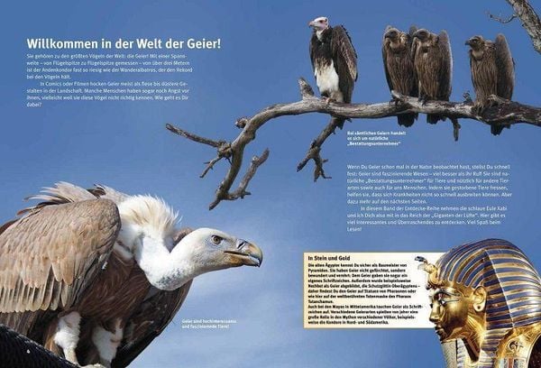 Produktbild: Entdecke die Geier
