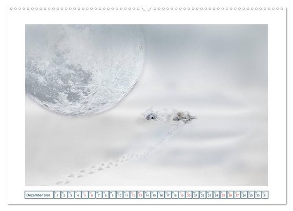 Produktbild: MoonMania (Wandkalender 2026 DIN A2 quer), CALVENDO Monatskalender
