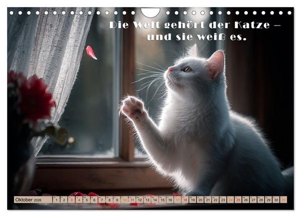 Produktbild: Miau-velous Pfotenpoesie (Wandkalender 2026 DIN A4 quer), CALVENDO Monatskalender