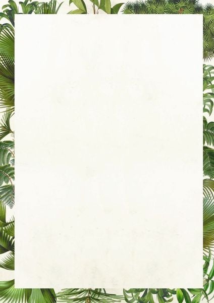 Produktbild: Briefpapier-Set