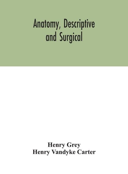 Produktbild: Anatomy, Descriptive And Surgical