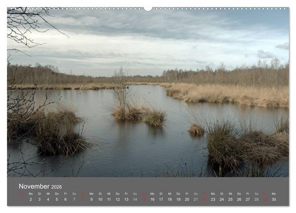 Produktbild: Moor- und Heidelandschaften Niedersachsen (Wandkalender 2026 DIN A2 quer), CALVENDO Monatskalender