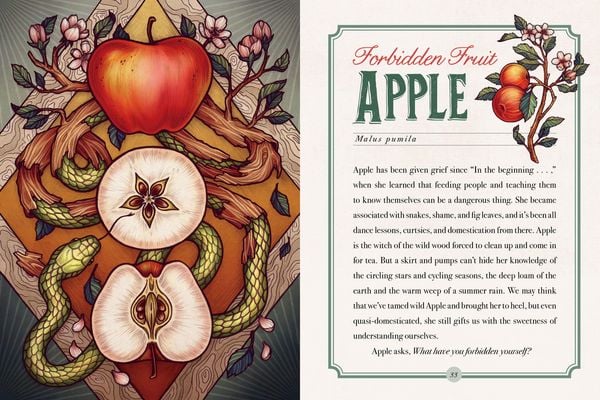 Produktbild: Illustrated Herbiary