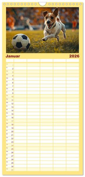 Produktbild: Familienplaner 2026 - Tierische Balljunkies mit 5 Spalten (Wandkalender, 21 x 45 cm) CALVENDO