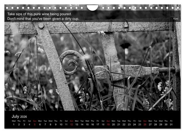 Produktbild: Through the Gate with Rumi (Wall Calendar 2026 DIN A4 landscape), CALVENDO 12 Month Wall Calendar