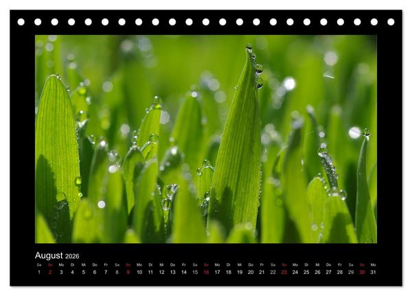 Produktbild: Meine kleine gr&uuml;ne Wassertropfen Welt (Tischkalender 2026 DIN A5 quer), CALVENDO Monatskalender