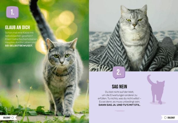 Produktbild: 100 Dinge, die man von einer Katze lernen kann