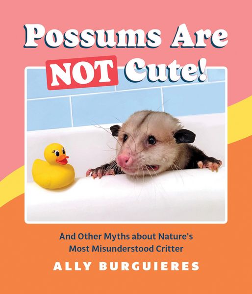 Produktbild: Possums Are Not Cute!