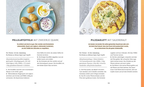 Produktbild: Fermentieren macht gesund