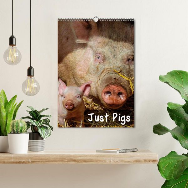 Produktbild: Just Pigs (Wall Calendar 2026 DIN A3 portrait), CALVENDO 12 Month Wall Calendar
