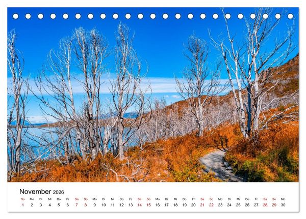 Produktbild: W&auml;lder: die letzte Zuflucht f&uuml;r die Wildnis (Tischkalender 2026 DIN A5 quer), CALVENDO Monatskalender