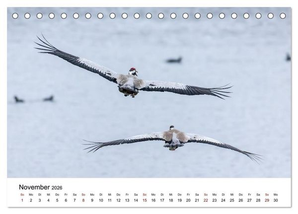 Produktbild: Kraniche im Erzgebirge (Tischkalender 2026 DIN A5 quer), CALVENDO Monatskalender