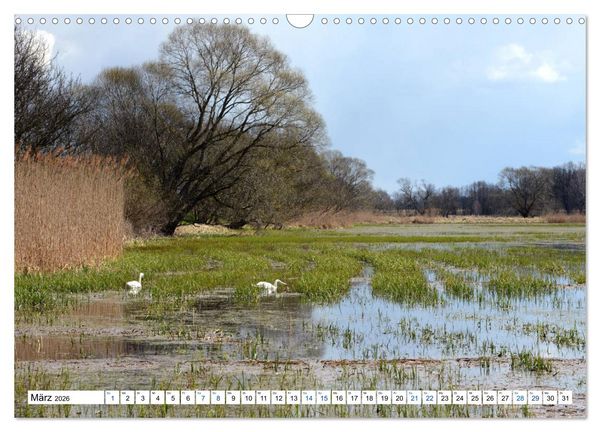Produktbild: Land Brandenburg - Natur und Erholung im m&auml;rkischen Land (Wandkalender 2026 DIN A3 quer), CALVENDO Monatskalender