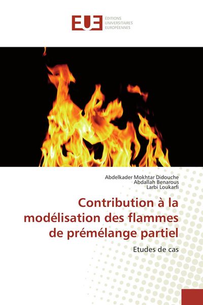 Produktbild: Contribution &agrave; la mod&eacute;lisation des flammes de pr&eacute;m&eacute;lange partiel