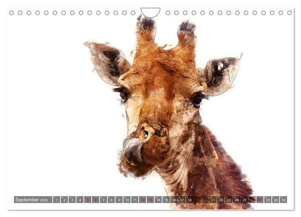 Produktbild: Tierportraits - Fine Art (Wandkalender 2026 DIN A4 quer), CALVENDO Monatskalender