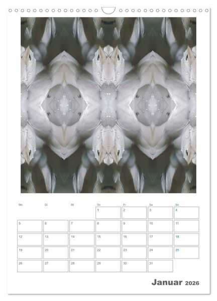 Produktbild: Axis Mater Naturae (Wandkalender 2026 DIN A3 hoch), CALVENDO Monatskalender