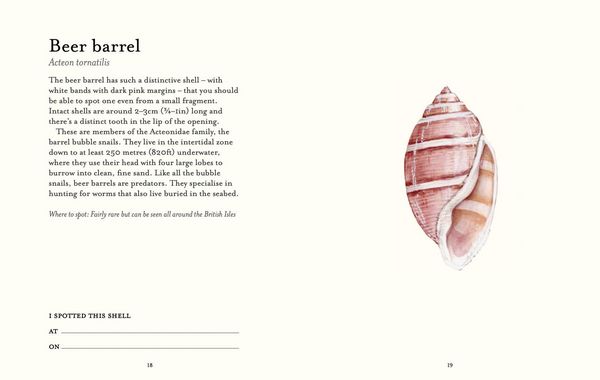 Produktbild: The Shell-Spotter's Guide