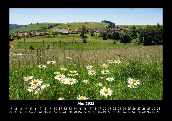 Produktbild: Blumenkalender 2025 Fotokalender DIN A3