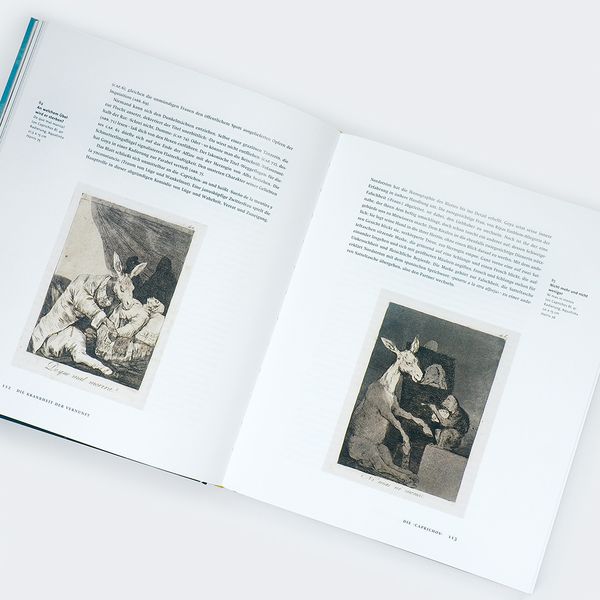 Produktbild: Goya