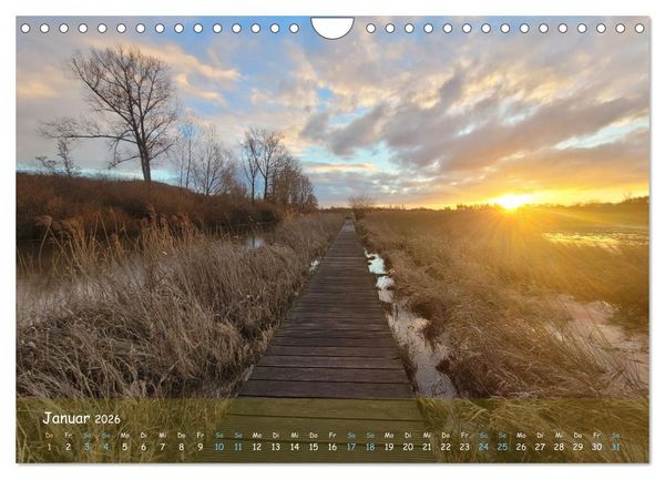 Produktbild: Moortr&auml;ume - Natursch&ouml;nheit in Bildern (Wandkalender 2026 DIN A4 quer), CALVENDO Monatskalender