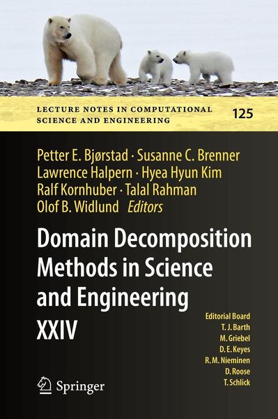 Produktbild: Domain Decomposition Methods in Science and Engineering XXIV