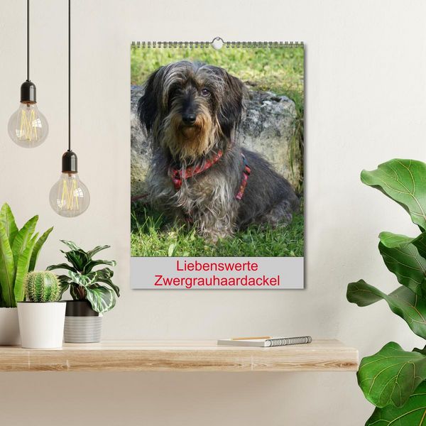 Produktbild: Liebenswerte Zwergrauhaardackel (Wandkalender 2026 DIN A3 hoch), CALVENDO Monatskalender