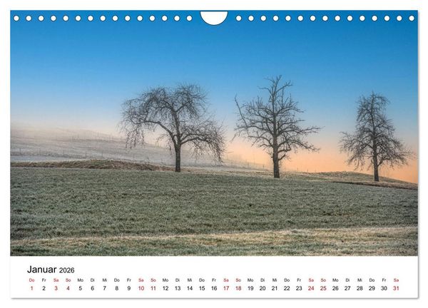 Produktbild: B&auml;ume - Wunder der Natur (Wandkalender 2026 DIN A4 quer), CALVENDO Monatskalender
