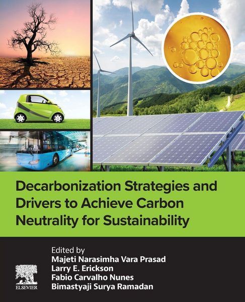 Produktbild: Decarbonization Strategies and Drivers to Achieve Carbon Neutrality for Sustainability